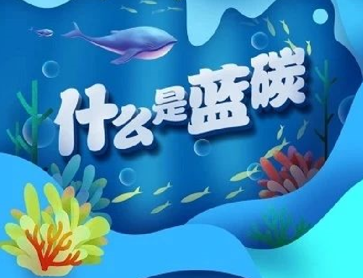 圖解｜你知道“藍(lán)碳”是什么嗎？